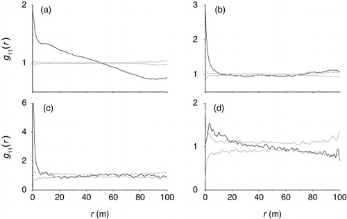 Figure 2. Spatial patterns of four in the study plots analyzed by the univariate function g (r) with the null model of CSR. (a) A. aphylla; (b) H. ammodendron; (c) R. songarica; and (d) N. roborowskii.