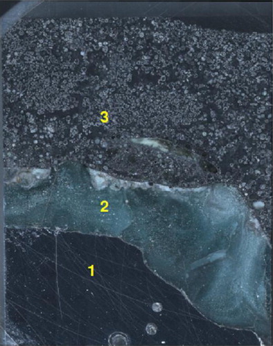 2 Sample overview showing the steel layer (1), the slag pool (2) and the powder layer (3)