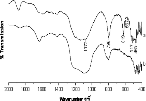 Figure 2.  FT-IR spectra of H-beta zeolite (a), ZnO-beta zeolite (b).
