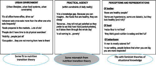 Figure 1. Suggestions of healthcare professionals regarding daily life, food and non-communicable disease within their communities(Source: estimated 90% FGD participants’ words, 10% author’ words. Authors’ groupings and addition of the relation to theory circles).