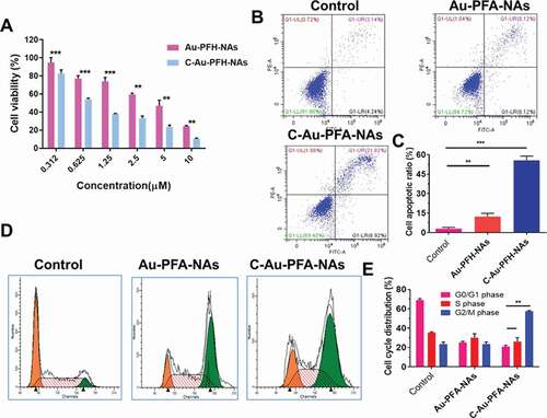 Figure 5. In vivo pharmacokinetics and biodistribution studies of Control, Au-PFH-NAs and C-Au-PFH-NAs. (a) In vivo plasma of the drugs following intravenous injection of Control, Au-PFH-NAs and C-Au-PFH-NAs. (b) The biodistribution studies Au-PFH-NAs and C-Au-PFH-NAs. (c) The intensity of the DiR label Au-PFH-NAs and C-Au-PFH-NAs. P values < 0.05 were considered statistically significant (*p < 0.05)