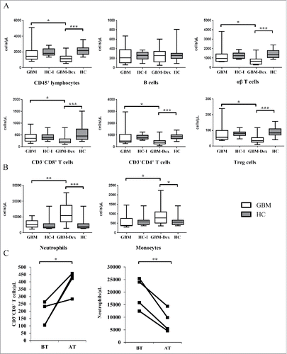 Figure 1. Immune cell subsets in the peripheral blood of GBM patients. Immune cell populations (cells/uL) were determined by FCM in GBM patients, treated with steroids (GBM-Dex, n = 22) or not (GBM, n = 13), and in age-matched HCs groups, all HC (n = 22) and HC-I (n = 14), respectively. Data between groups GBM/GBM-Dex, GBM/HC-I and GBM-Dex/HC were compared for immune cell subsets as indicated: (A) Lymphocytes (CD45+ cells), B cells (CD19+ cells), αβ T cells, CD3+CD8+ T cells, CD3+CD4+ T cells, and Tregs, defined as CD127−CD25high CD3+CD4+ T cells. (B) Neutrophils (CD66b+ cells), monocytes (CD14+ cells). (C) The data obtained from GBM-Dex patients before surgery (BT, before therapy) was compared with the data from a later time point (after 2–5 months; AT, after therapy). Results shown for CD3+CD8+ cells (left panel), and neutrophils (right panel). The median values in (A) and (B) are compared by 2-tailed Wilcoxon's rank-sum test. Statistical significance is displayed as *** for p < 0.001, ** for p < 0.01 and * for p < 0.05.