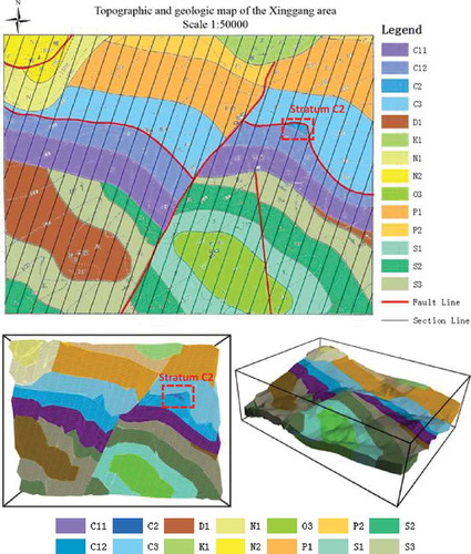 Figure 18. The cross section after manual intervention and 3D geological model.