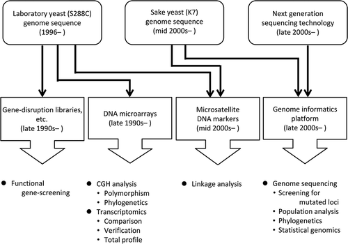 Figure 1. Genetic infrastructures and innovative DNA sequencing technologies that supported the recent development of genomics and genome-wide studies of sake yeast.