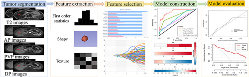 Figure 2 Flowchart of radiomics analysis.