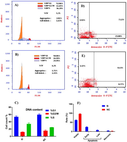 Figure 5. Flow cytometric analyses: cell cycle distribution analysis using PI staining method in which MCF-7 cells were treated by 6i (10 µM) and DMSO (negative control; NC) for 48 h; (A) 6i, (B) DMSO, (C) cells percentage in different phases (G0-G1, S, G2/M); apoptotic induction using annexin-V-FITC/PI staining method in which cancer cells were treated by 6i (10 µM) and DMSO (negative control; NC) for 24 h; (D) 6i, (E) DMSO, (F) histogram for induction of apoptosis.