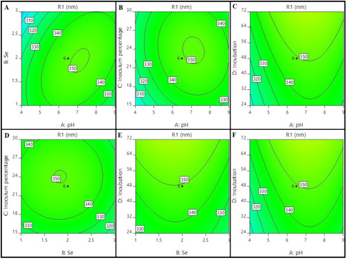 Figure 4 Contour plot analysis. By using Design Expert, 3D surface plots from (A–F) indicate the biosynthesis of SeNP SPR λmax vs all the 4 parameters used in the runs ie, (A) pH, (B) Se concentration, (C) inoculum percentage, and (D) incubation time on a different axis. Each plot shows the contour when only 2 parameters are considered, maintaining other 2 constant.