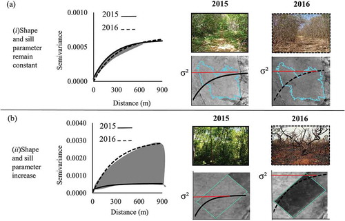 Figure 7. Patterns of semivariograms generated from the NDVI values inside the objects for years 1 (2015) and 2 (2016): (a) NDVI changes caused by vegetation phenology – the shape and sill (σ2) parameters remained constant; (b) NDVI changes caused by human-induced disturbances – the shape and sill (σ2) parameters increased.