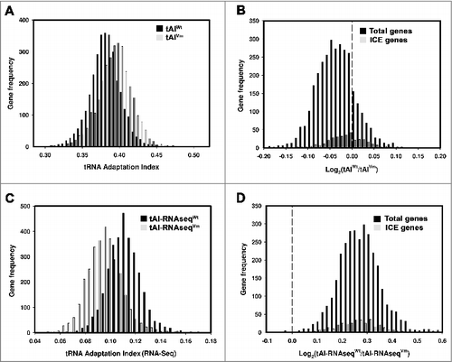 Figure 2. tRNA adaptation index (tAI) of genes from Acidithiobacillus ferrooxidans strain ATCC 23270 (A)and B. Gene frequency vs. tAI value for wild-type (wt) or virtual mutant (vm, tRNA genes from ICEAfe1 were excluded from calculations). (C) and D,. gene frequency vs. log-ratio of the tAI values for the wild-type and virtual mutant, as in (A) and B, except that the calculations were performed based on the actual tRNA levels obtained from RNA-seq data (Experiment 1). Total genes represent genes from chromosome and ICEAfe1. ICE genes are genes from ICEAfe1 only.