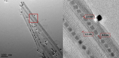 Figure 3. BaTiO3 nanopeapods made using the optimal synthetic pathway (Table 2, Reaction 14). Left. Image of four adjacent nanopeapods. Right. Higher magnification image shows scroll layer spacing, interparticle distance and a typical size of nanoparticles located within the hexaniobate nanoscroll.
