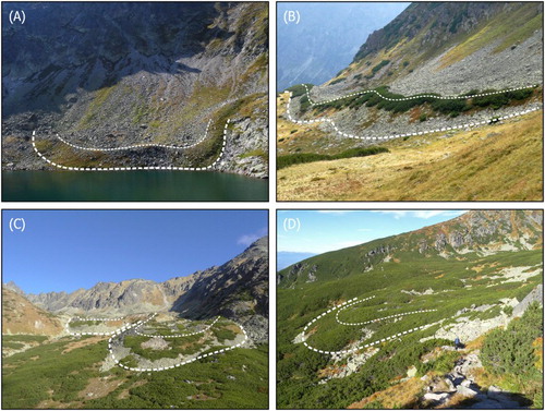 Figure 4. (A) Intact talus rock glacier near the Pusté pleso Lake in the Veľká Studená Valley, High Tatra Mts.; (B) relict talus rock glacier in the Kobylia Valley, Western Tatra Mts.; (C) fronts of intact and relict debris rock glaciers in the Slavkovská Valley, High Tatra Mts.; (D) densely vegetated relict talus rock glacier in the Furkotská Valley, High Tatra Mts.; note the person in the foreground for scale.Note: White dashed lines delineate rock-glacier fronts.