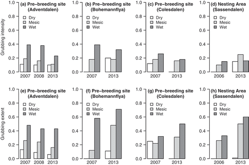 Figure 2. Grubbing intensity and extent at pink-footed goose pre-breeding sites and nesting site in Svalbard in 2006, 2007, 2008 and 2013. Top row shows grubbing intensity at three pre-breeding sites: (a) Adventdalen, (b) Bohemannflya and (c) Colesdalen in 2007, 2008 (Adventdalen only) and 2013; and at the nesting area (d) Sassendalen in 2006 and 2013. Bottom row shows grubbing extent at the same three pre-breeding sites: (e) Adventdalen, (f) Bohemannflya and (g) Colesdalen in 2007, 2008 (only Adventdalen) and 2013; and at the nesting area (h) Sassendalen in 2006 and 2013.Note: White bars indicate dry habitat, light grey bars indicate mesic habitat and dark grey bars indicate wet habitat.