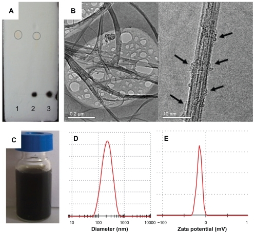 Figure 3 Characterization of SWNT-NGR-DTX. (A) Thin layer silica gel chromatography image of 1-(NGR), 2-(NGR mechanical mixing with the SWNT-DTX), and 3-(SWNT-NGR-DTX); (B) transmission electron microscopic image of SWNT-NGR-DTX; (C) solubility of SWNT-NGR-DTX; (D) particle size of SWNT-NGR-DTX; and (E) zeta potential of SWNT-NGR-DTX.Abbreviations: SWNT, single-walled carbon nanotubes; NGR, (Asn-Gly-Arg) peptide; DTX, docetaxel.