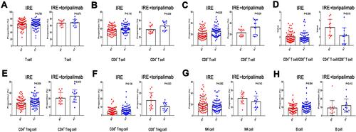 Figure 3 Distribution of serum concentration of T cell (A), CD4+ T cell (B), CD 8+ T cell (C), ratio of CD4+ T cell/CD8+ T cell (D), CD4+ Treg cell (E), CD8+ Treg cell (F), NK cell (H), and B cell (G) before and 7 days after IRE therapy.