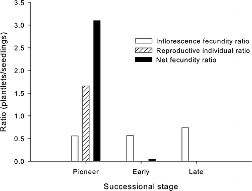 FIGURE 2 Ratios of plantlet and seedling fecundities as a function of successional stage. White bars—inflorescence fecundity ratio f IP/f IS averaged over small and large individuals; hatched bars—ratio between reproducing individuals with either plantlets or seeds (n P/n S); black bars—net fecundity ratio f NP/fNS.