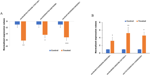 Figure 9 The expression level of differentially expressed circRNAs detected by the quantitative real-time reverse transcription-polymerase chain reaction (qRT-PCR). (A) The expression level of downregulated circRNAs. (B) The expression level of upregulated circRNAs. Values are presented as the mean ± SD of three independent experiments (*p < 0.05, **p < 0.01 and ***p < 0.001).