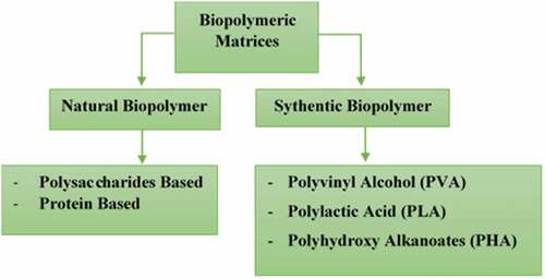 Figure 1. Classification of biopolymer matrices.