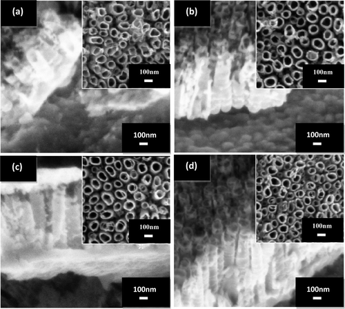 Figure 1. FESEM micrographs of the cross-section view of the TiO2 nanotube arrays formed by anodisation of titanium foil at different electrolyte pH values: (a) pH 1, (b) pH 3, (c) pH 5 and (d) pH 7. The inset is the top view showing the diameter of TiO2 nanotube arrays at different electrolyte pH values.