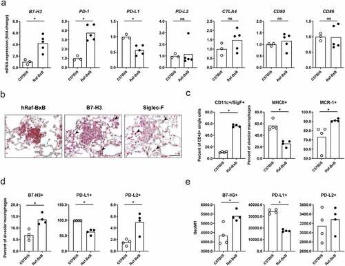 Figure 1. NSCLC growth induces overexpression of IC molecules and accumulation of immunosuppressive TAMs expressing increased levels of IC ligands