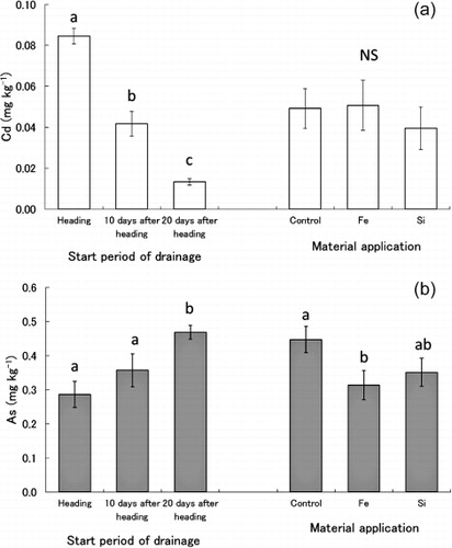 Figure 1. Effects of the start period of drainage after heading and the application of materials on the concentrations of Cd (a) and As (b) in rice grain at harvest (mean ± SE; n = 9). Different letters within each treatment indicate significant difference by Ryan test at p < 0.05.