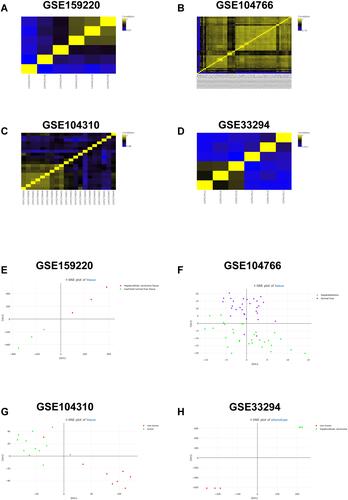 Figure 1 Correlation analysis and t-SNE analysis of the GEO datasets. (A–D) The correlation analysis of (A) GSE159220, (B) GSE104766, (C) GSE104310 and (D) GSE33294 was demonstrated as heatmap. (E–H) The t-SNE plot of tissue from (E) GSE159220, (F) GSE104766, (G) GSE104310 and (H) GSE33294 is shown.