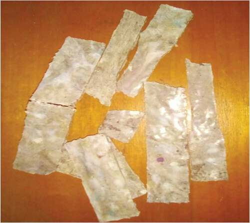 Figure 6. Fractured samples after mechanical properties tests