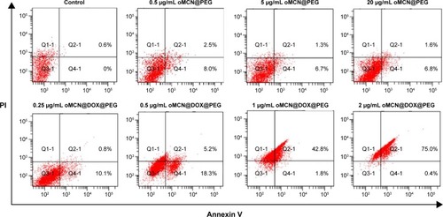 Figure 9 Apoptosis of LLCcells induced by oMCN@PEG and oMCN@DOX@PEG.Notes: LLC cells were stimulated with 0.5 μg/mL, 5 μg/mL, and 20 μg/mLof oMCN@PEG and 0.25 μg/mL, 0.5 μg/mL, 1 μg/mL, and 2 μg/mL of oMCN@PEG@DOX for 12 h. Apoptosis was then quantified by FACS after staining with Annexin V and PI. The results are presented as fold changes compared with corresponding control cells.Abbreviations: LLC, Lewis lung carcinoma; oMCN@PEG, polyethylene glycol-modified oxidized mesoporous carbon nanospheres; oMCN@DOX@PEG, polyethylene glycol-modified doxorubicin-loaded oxidized mesoporous carbon nanospheres; h, hours; FACS, fluorescence-activated cell sorter; PI, propidium iodide.