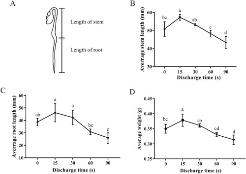 Figure 4. Effects of PAW treatment on the growth characteristics of mung bean sprouts. (A) Schematic diagram of mung bean sprout, (B) stem length, (C) root length, (D) weight of mung bean sprouts after sowing for 5 days. Different letters indicate statistically significant differences between groups (p < 0.05).