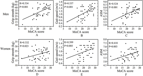 Figure 2 Scatter plots show the relationship between the Montreal Cognitive Assessment (MoCA) scores and handgrip strength, gait speed, and ASM in men and women. (A) The relationship between grip strength and MoCA score in men. (B) The relationship between gait speed and MoCA score in men. (C) The relationship between ASM and MoCA score in men. (D) The relationship between grip strength and MoCA score in women. (E) The relationship between gait speed and MoCA score in women. (F) The relationship between ASM and MoCA score in women.