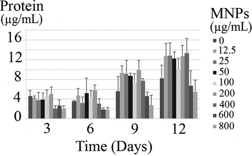 Figure 12. Released protein from C. vulgaris cells exposed to various concentrations of MNPs