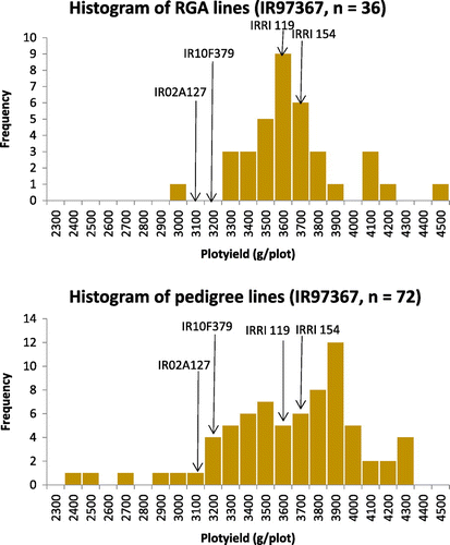 Figure 6. Histograms of yield for RGA and pedigree lines from population IR97367 evaluated in the 2015 dry season OYT. (a) RGA lines. (b) pedigree lines (from the same cross). Means of parents and IRRI154 check variety are indicated by arrows.