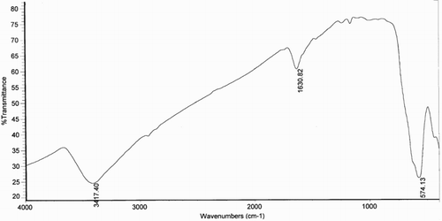 Figure 5. FT-IR spectrum of modified Fe3O4 NPs.