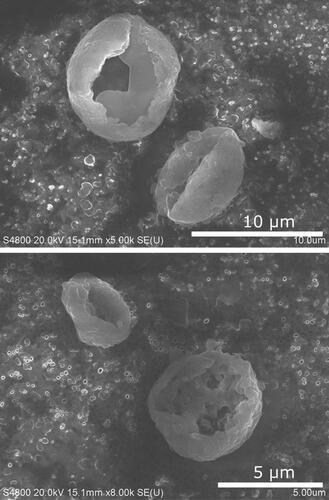 Figure 18. SEM images of carbonaceous cenospheres emitted by LFP explosion.