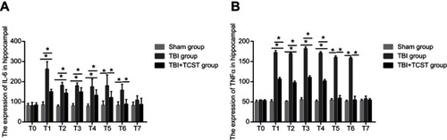 Figure 5 The effects of TCST on the inflammatory responses of hippocampi in TBI rats. Comparison of hippocampal IL-6 (A) and TNF-α (B) expression in rats of each group at each time point. All data are expressed as the mean±standard deviation. Six rats per group; Sham group versus TBI group *p<0.05, Sham group versus TBI+TCST group *p<0.05, TBI group versus TBI+TCST group *p<0.05.