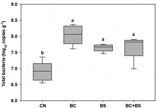 Figure 2. Quantification of total bacterial 16S rRNA gene components after final rice harvesting. Different letters indicate significant differences among treatments at a 5% probability level. Error bars represent standard deviations (n = 12).