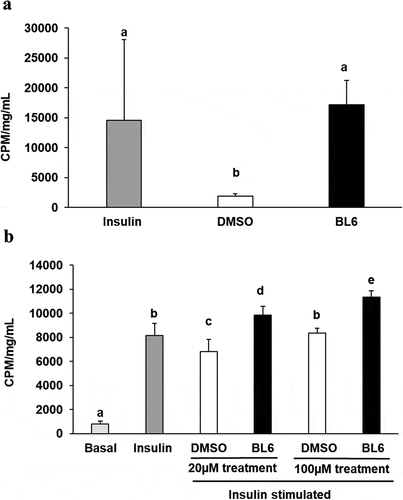 Figure 6. Glucose uptake for 20 µM and 100 µM of BL6 treated adipocyte cells. 3T3-L1 pre-adipocyte cells were treated with 20 µM, and 100 µM of BL6 along with MDI for 8 days during differentiation. Glucose uptake assay was performed following differentiation. (a) Insulin independent glucose uptake was determined with 100µM BL6 treated cells. Y-axis represents glucose uptake in CPM/mg/mL. (b) Similarly the effect of insulin during block to adipogenesis when cells were treated with 20µM and 100 µM of BL6 was determined under insulin stimulated conditions. Basal group on the X-axis represents glucose uptake independent of insulin. Radioactive glucose uptake was normalized to total protein content. Data are presented as average ± sd (n = 6). Groups sharing different alphabet denotes statistical significance (P < 0.05) as determined by ANOVA. The experiment was repeated a minimum of three times.