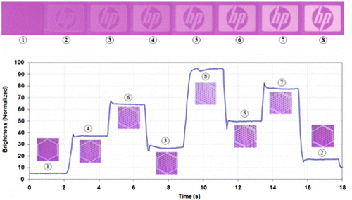 Figure 5. Dynamic driving for grayscale continuously addressed and held flat at eight levels and their respective microscopic images.