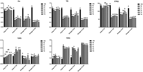 Figure 9. Effects of humic acid (HA) on P700 parameters of millet penultimate leaves under drought stress. Pm, maximum P700; Y(i), effective quantum yield of photosystem I; ETR(I), relative photosynthetic electron transfer rate of photosystem I; Y(ND), quantum yield of non-photochemical energy dissipation; Y(NA), non-photochemical energy dissipation.