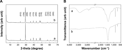 Figure S1 XRD patterns (A) and FT-IR spectra (B) of (a) B-Cal and (b) N-Cal.Abbreviations: arb, arbitrary; B-Cal, bulk calcium carbonates; FT-IR, Fourier transform infrared; N-Cal, nano calcium carbonates; XRD, X-ray diffraction.