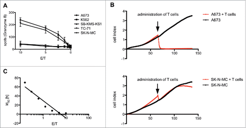 Figure 2. Antitumor reactivity of STEAP1130-specific T cell clone P2A5. (A) Effector:target ratio- (E/T) dependent granzyme B release of STEAP1130-P2A5 after co-culture with various tumor cell lines. (B) Target-specific tumor cell lysis of A673 and SK-N-MC (E/T: 10) by STEAP1130-P2A5, detected via xCELLigence assay. (C) E/T-dependent timeframe needed for killing of 50% of tumor cells (kt50) by STEAP1130-P2A5.