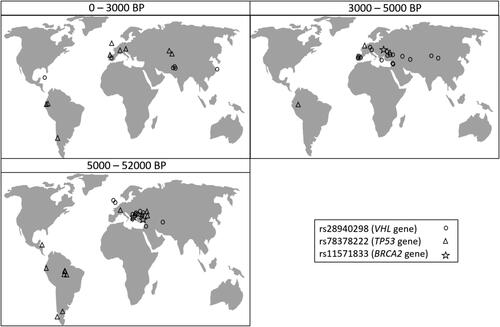 Figure 4. Geographical location of the aDNA samples in which the three variants were established. The samples are allocated in panels corresponding to the time period to which they have been dated (0–3000 BP, 3000–5000 BP, and 5000–52000 BP).