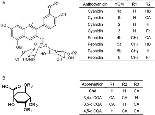 Figure 1. Structures of the sweetpotato anthocyanins (a) and polyphenolics (caffeoylquinic acids) (b). Glu, Glucopyranoside; HB, p-Hydroxybenzoic acid; Cf, Caffeic acid; Fr; Ferulic acid.
