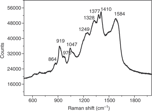 Figure 2. Raman spectra of PPy/Al2O3.