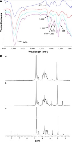 Figure 3 Characterization of different nanotubes.Notes: (A) FTIR spectrum of a) SWCNTs-COOH, b) SWCNTs-HA, c) SWCNTs-HA-ss-CH2CH2-COOH, and d) SWCNTs-HA-ss-DOX. (B) 1HNMR spectra of a) SWCNTs-HA, b) SWCNTs-HA-ss-CH2CH2-COOH, and c) SWCNTs-HA-ss-DOX.Abbreviations: DOX, doxorubicin; FTIR, Fourier transform infrared spectroscopy; Gd, gadolinium; GSH, glutathione; HA, hyaluronic acid; 1HNMR, proton nuclear magnetic resonance; SWCNTs, single-walled carbon nanotubes.