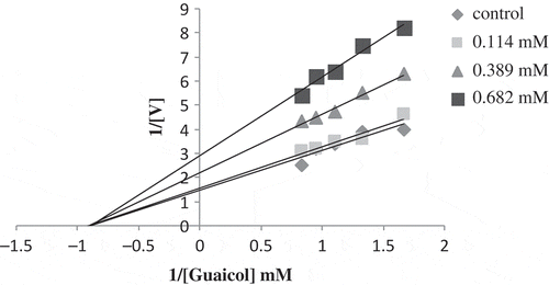 FIGURE 8 Lineweaver-Burk graph for determination of Ki constant ([Guaiacol]: 3–9 mM, [4-amino-benzohydrazide]: 0.55–1.375 mM).