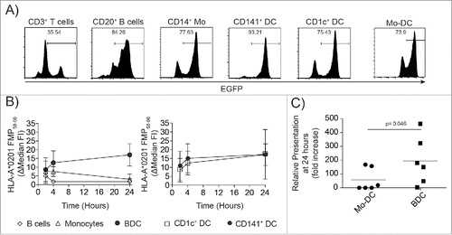 Figure 2. Primary BDC present mRNA antigens efficiently compared to other primary myeloid cells and in vitro generated Mo-DC. (A) CMRF-56 immunoselected APC subsets or in vitro derived Mo-DC showed comparable ability to translate EGFP-mRNA. EGFP expression was lowest in residual T cells, B cells and pDC, with greatest expression in primary blood CD14+ monocytes and CD141+ and CD1c+ DC (one of three experiments is shown). (B) Translated FMP-mRNA was detected as HLA-A*0201:FMP58–66 complexes on the cell surface using an anti-HLA-A*0201:FMP58–66 antibody by flow cytometry (three independent donors are shown). (C) The HLA-A*0201 presentation of FMP 58–66 on FMP–mRNA loaded CMRF-56+ BDC (n = 6) or immature Mo-DC (n = 6) was compared at 24 h post-transfection by flow cytometry (p = 0.046, Mann–Whitney test).