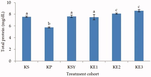 Figure 4. Effect of P. odoratissimus seed (POS) extracts on total protein levels of serum rats induced by paracetamol. KS: healthy control; KP: hepatotoxic control; KSY: silymarin control; KE1: POS extract 300 mg/kg; KE2: POS extract 600 mg/kg; KE3: POS extract 900 mg/kg.