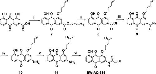 Scheme 2. Synthesis of the BW-AQ-336 analog. (i) 5-bromo-1-pentene, K2CO3, DMF, 90–100 °C, 4 h; (ii) LiOH, H2O, THF, 4 h; (iii) DPPA, Et3N, DMF, rt, 30 min; (iv) (a) dioxane, reflux, 2 h; (b) H2O, 1 h, 50 °C; (v) PdCl2, CuCl, O2, DMF, H2O, rt, overnight; (vi) chloroacetyl chloride, 1,4-dioxane, rt, 15 min.