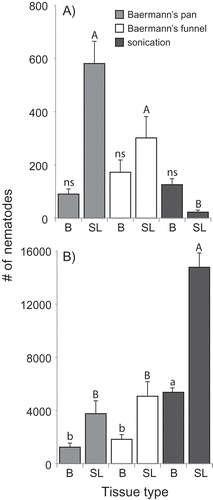 Fig. 2 Number of nematodes extracted from garlic bulbs or from stems and leaves using three different extraction methods. The experiment was carried out in 2017 (A) and 2018 (B). Tissue types are: B = bulbs; SL = stems and leaves. Extractions were done on 30 g of garlic bulbs or 13 g of stems and leaves cut in small pieces from a homogenous pool of naturally infested plants. Error bars represent the standard errors of 10 replicates. Letters above each bar signify statistical differences according to Dunn test.