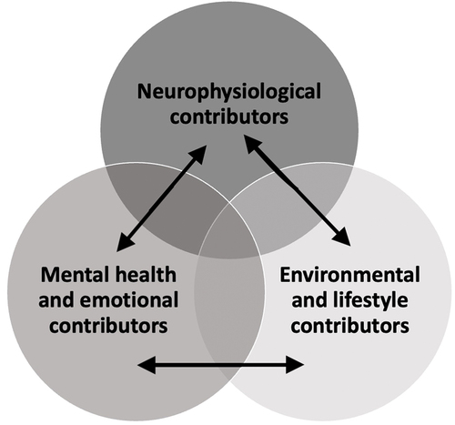 Figure 3. Brainfog contributors model.